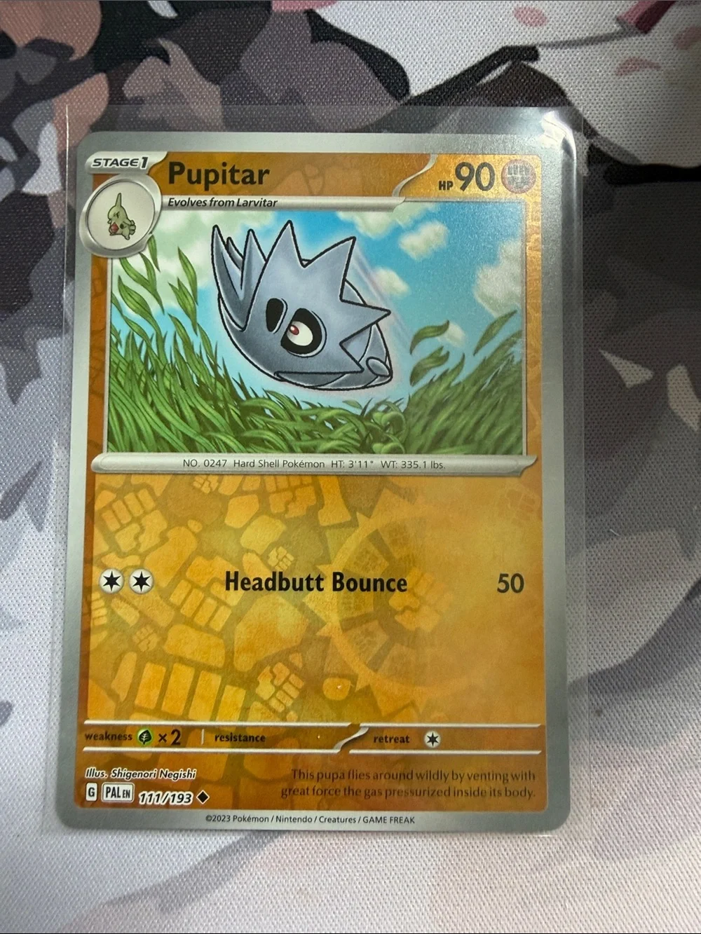 Larvitar Pupitar & Tyranitar Pokémon Evolution Holo Card Lot 🦖| 5 Cards ✨5/$25✨
